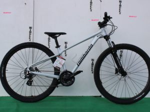 MTB - Lombardo Sestriere 300