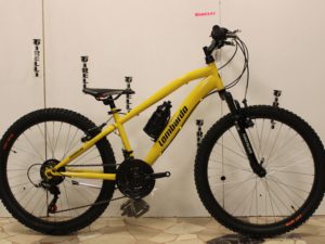 Bici bimbo Lombardo Tropea 24