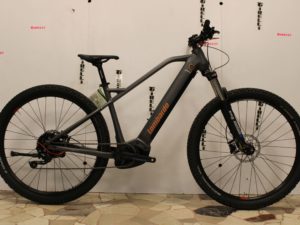 E bike Lombardo Chamonix